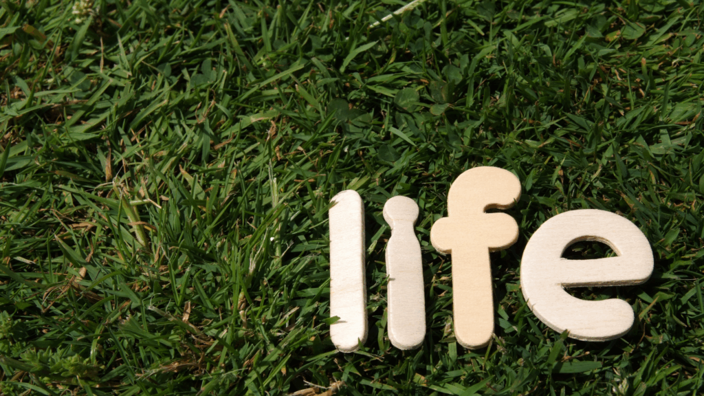 Life
