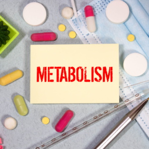 metabolism